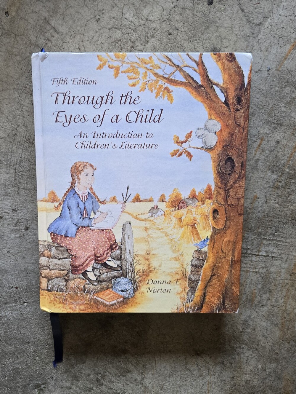 Through The Eyes Of A Child Intro To Children's Literature Book